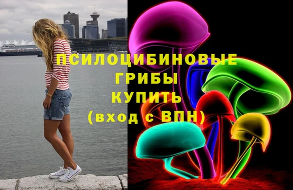a pvp Алзамай